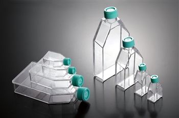 Butelki do hodowli komórkowych, traktowane plazmą, z wentylowaną nakrętką, sterylne