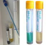 SwabSURE Ecoli/Coliform op=100szt
