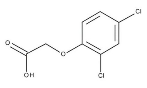 2,4-Dichlorophenoxyacetic acid for synthesis