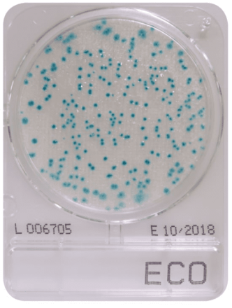 Compact Dry ECO E. coli