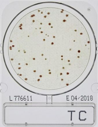 Compact Dry TC Total viable count