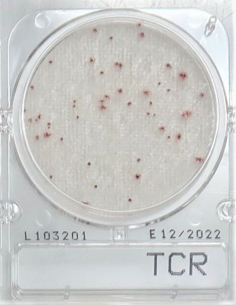 Compact Dry TCR  Total viable count