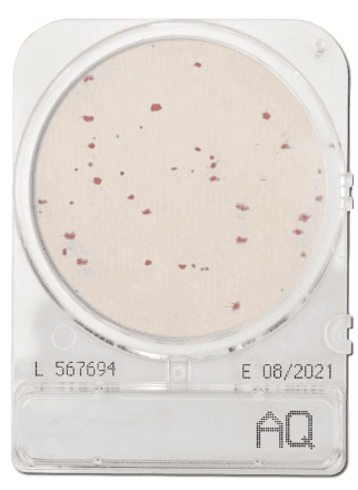 Compact Dry AQ Heterotrophic bacteria in water