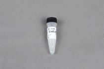 10 mM dNTP (2.5 mMX4), 1 ml