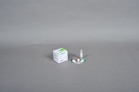 ProFi Taq DNA Polymerase 1,000 jednostek, w tym: 10 mM dNTPs, 10 x bufor reakcyjny z MgCl₂