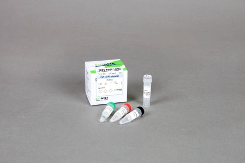 ProFi Taq DNA Polymerase 1,000 jednostek, w tym: 10 x bufor reakcyjny z 20 mM MgCl₂
