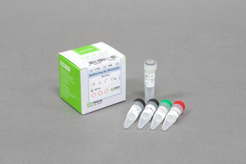 MicroBiome Assay Taq DNA Polymerase, 10X bufor reakcyjny bez MgCl₂, 10 mM dNTPs, 20 mM MgCl₂
