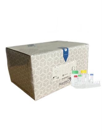 testy DIAGNOSTYKA WODY 