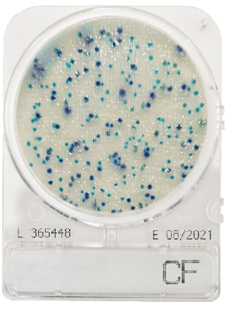 Compact Dry CF Coliform
