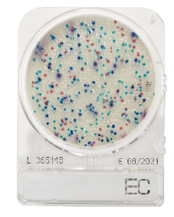 Compact Dry EC E. coli and coliform
