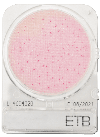 Compact Dry ETB Enterobacteriacae