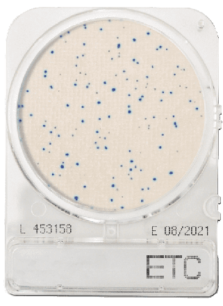 Compact Dry ETC Enterococci 