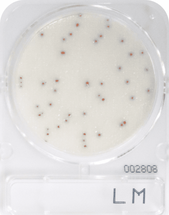 Compact Dry LM Listeria monocytogenes