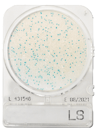 Compact Dry LS Listeria species