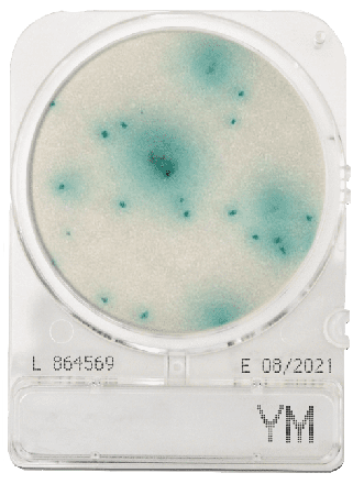 Compact Dry YM Yeast and mould