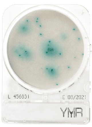 Compact Dry YMR (rapid) Yeast and mould