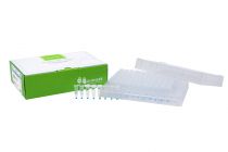 AccuPower® PCR PreMix, objętość reakcyjna 20 µl w 0,2 ml cienkościennych probówkach w paskach po 8 szt., z zintegrowanymi wieczkami / 96 probówek.