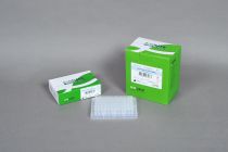 AccuPower® PCR PreMix, objętość reakcyjna 50 µl w 0,2 ml cienkościennych probówkach w paskach po 8 szt., z zintegrowanymi wieczkami / 480 probówek.