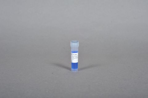 AccuPower® Pfu PCR PreMix, roztwór 2× Master Mix / 1 ml.