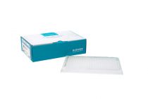 AccuPower® RT PreMix, płytka 384-dołkowa cienkościenna z kołnierzem; objętość reakcyjna 5 µl.