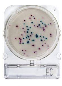 COMPACT DRY EC (COLIFORMES Y E.COLI)